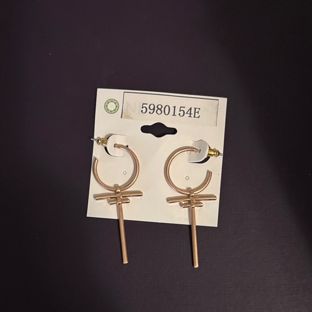 Elegant Gold Hoop Earrings